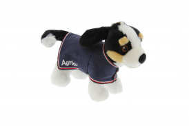 Nyckelring Buster i gruppen Agria Shop / Hund hos AgriaShop (AGR2057)