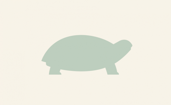Piggborste  i gruppen Agria Shop / Hst & Lantbruk hos AgriaShop (2440r)