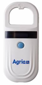 Chiplsare Hund och Katt