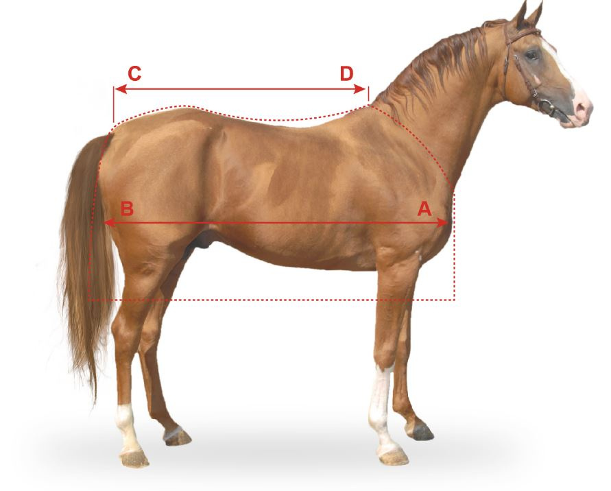 Regnt�cke till H�st