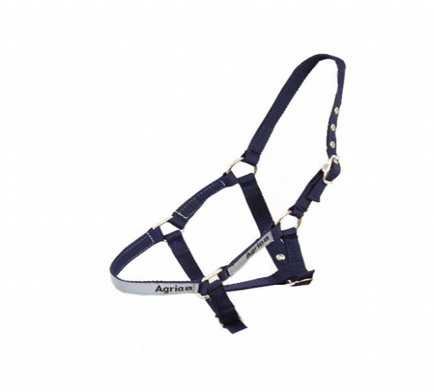 Fölgrimma med reflex